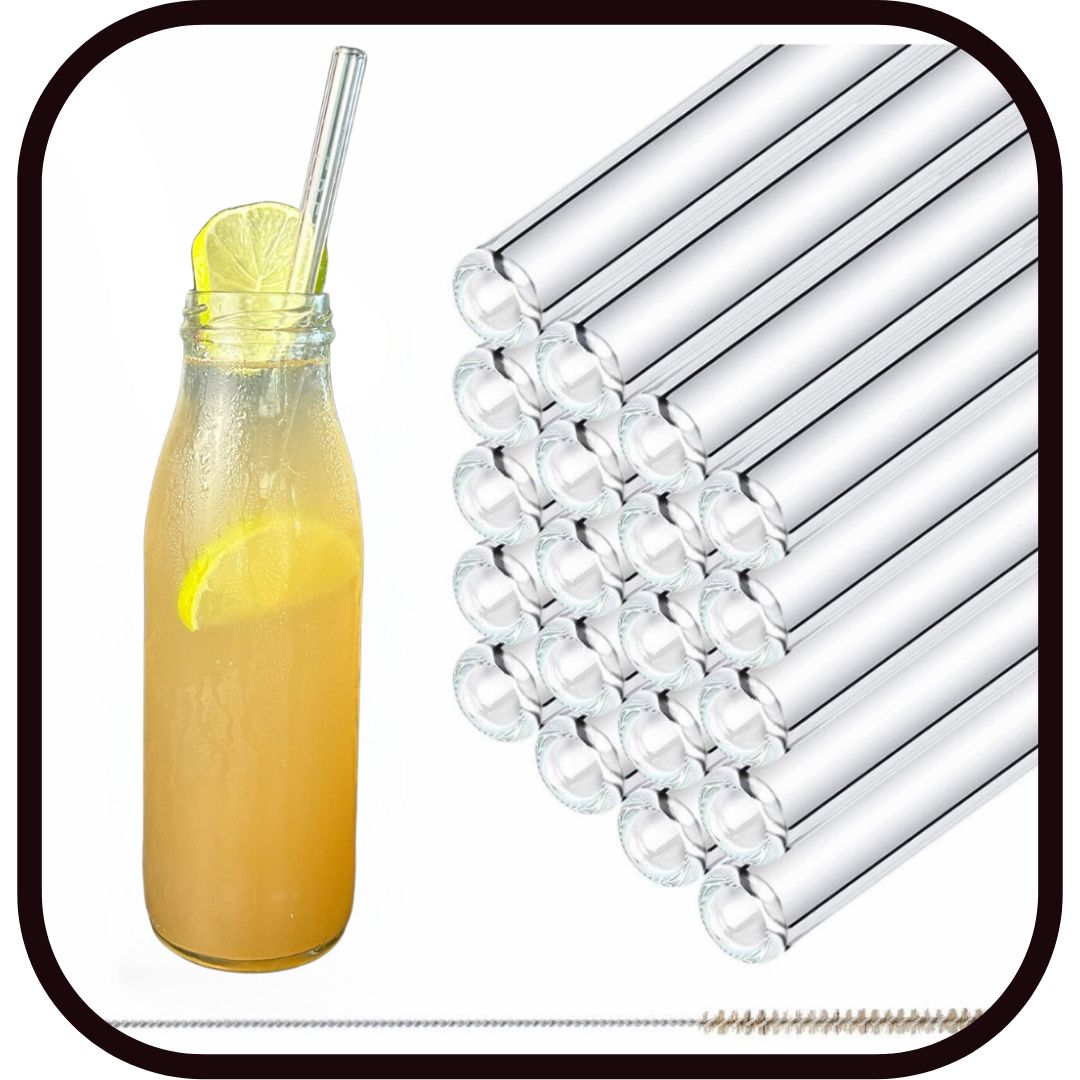 Glasstrohhalm 6er Set